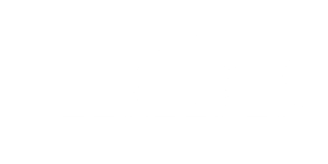 The NYC Beekeeper